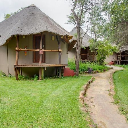מגליסבורג Warthogs Bush Lodge מראה חיצוני תמונה